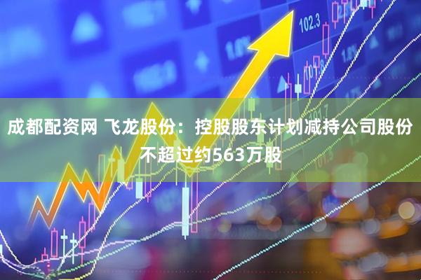 成都配资网 飞龙股份：控股股东计划减持公司股份不超过约563万股