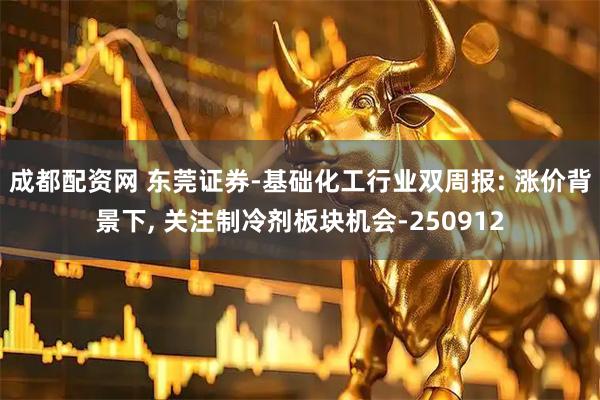 成都配资网 东莞证券-基础化工行业双周报: 涨价背景下, 关注制冷剂板块机会-250912