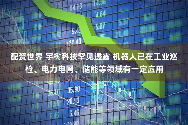 配资世界 宇树科技罕见透露 机器人已在工业巡检、电力电网、储能等领域有一定应用